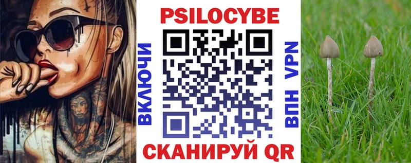 купить закладку  Эртиль  Псилоцибиновые грибы Psilocybe 